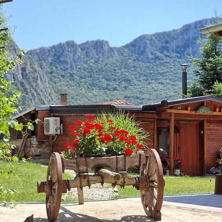 Konak -Guest House -Ramonda Serbika Ni Εξωτερικό φωτογραφία