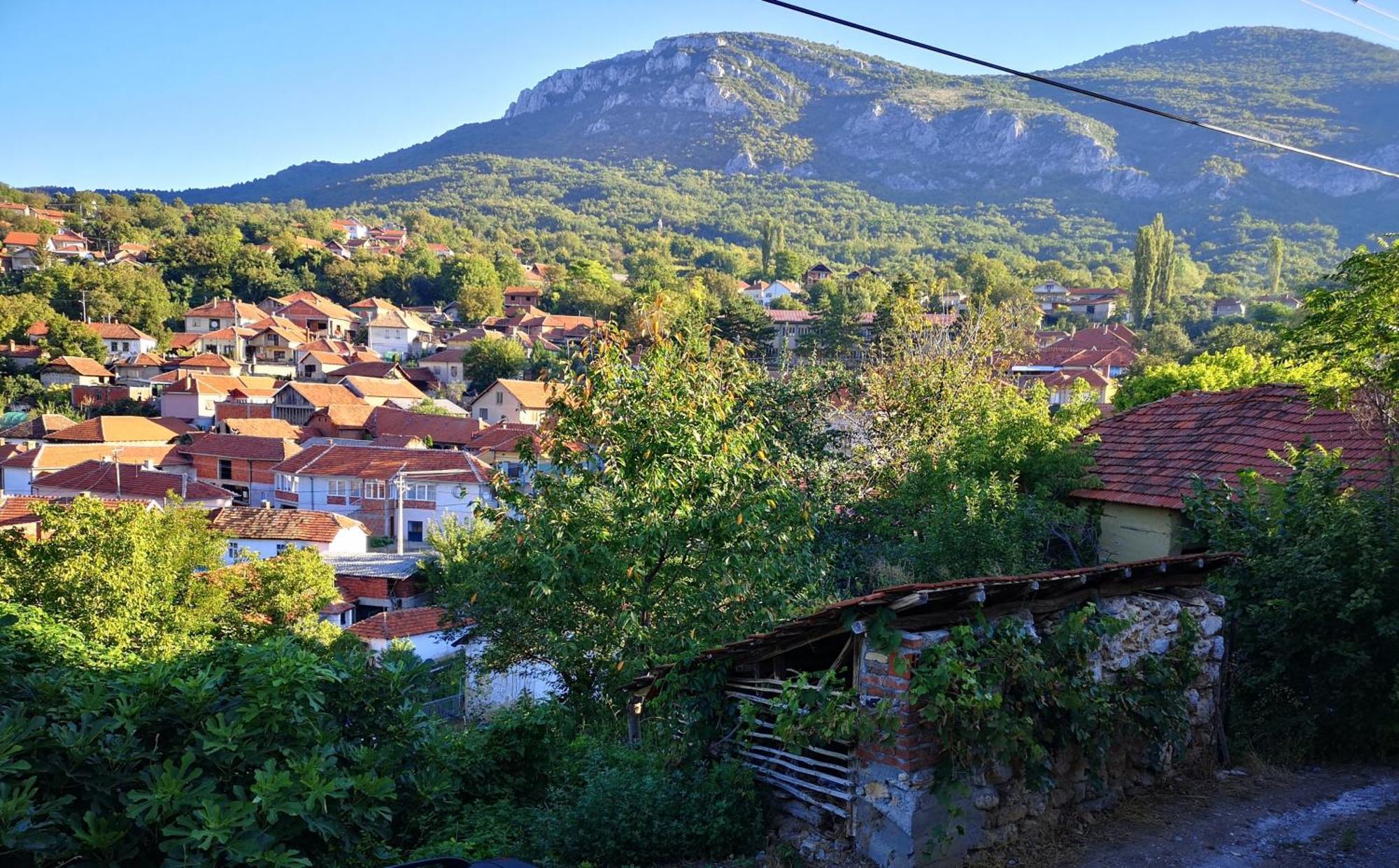 Konak -Guest House -Ramonda Serbika Ni Εξωτερικό φωτογραφία