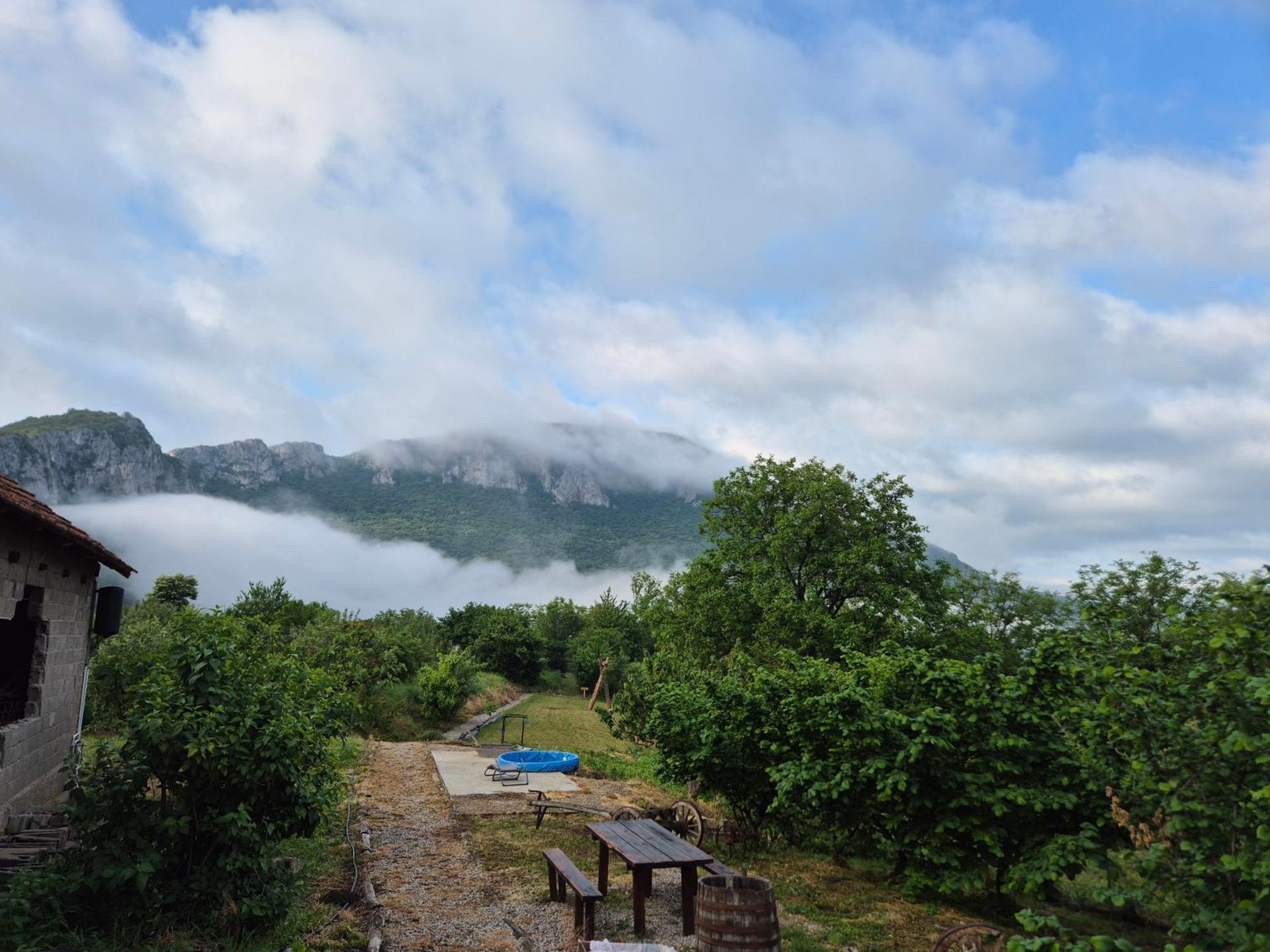 Konak -Guest House -Ramonda Serbika Ni Δωμάτιο φωτογραφία